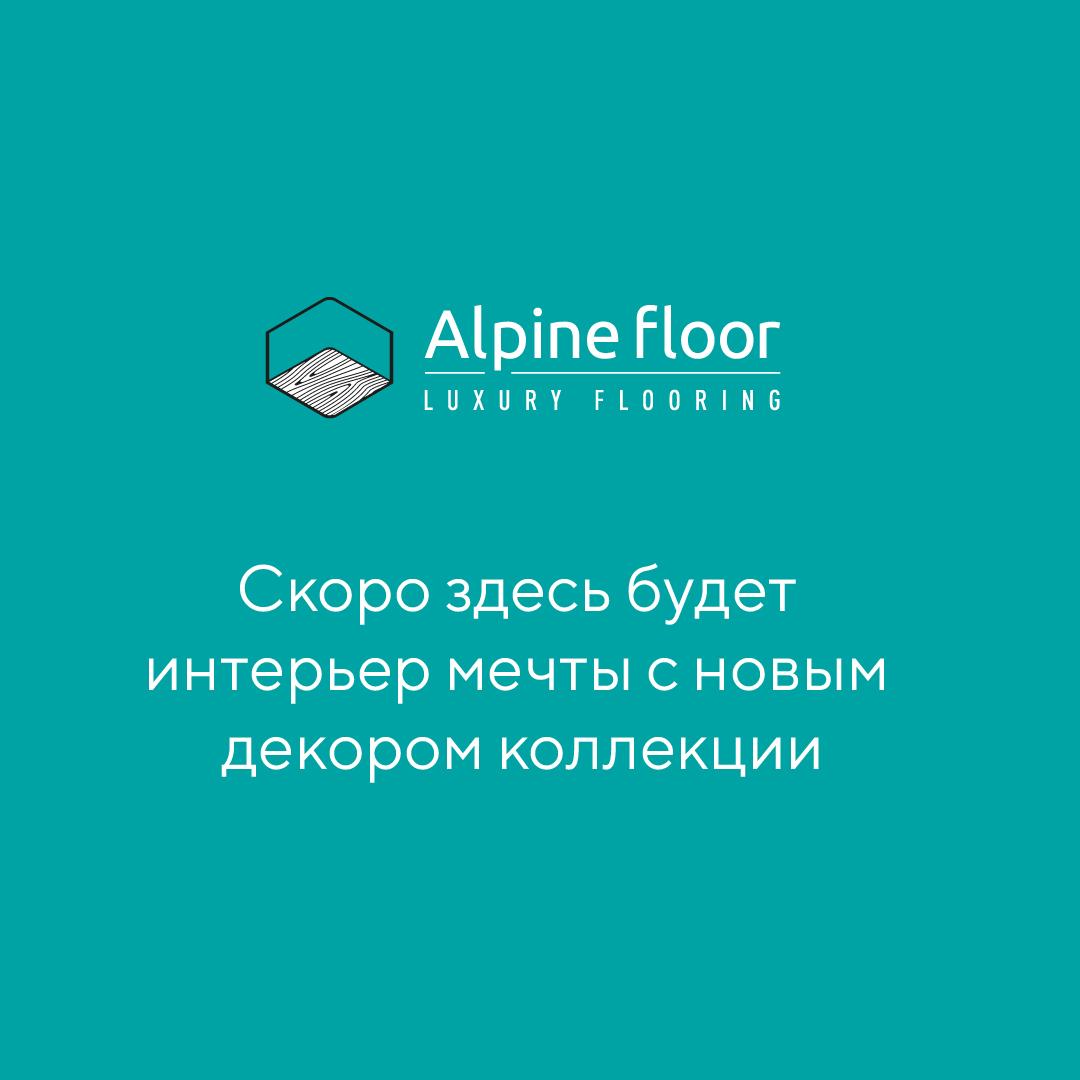 https://bitrix.alpinestore.su/upload/iblock/134/v2mxysvo53tl3wur8az834c5znazfhat/alpine.jpg